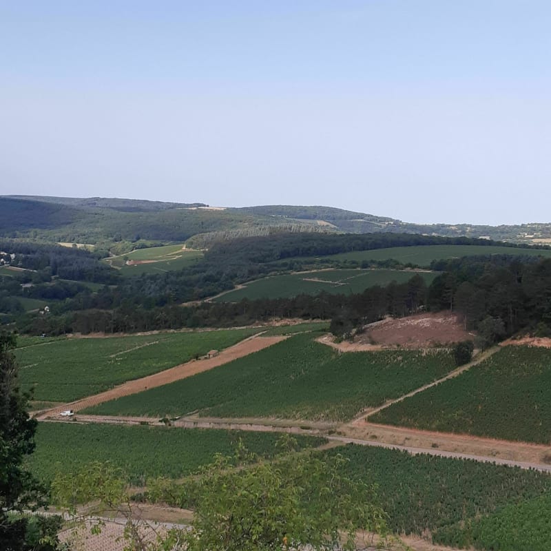 Depuis Mercurey, le Bois de Sarre en passant par Aluze - Mercurey