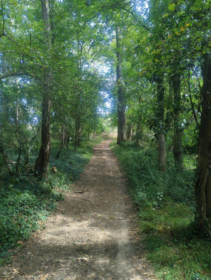 Le plateau de Mondeville entre champs et forêt - Ballancourt-sur-Essonne