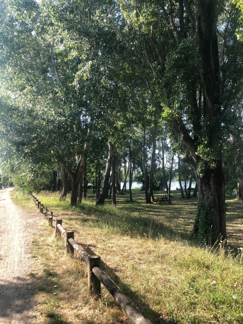 Des Champs Élysées à Villeneuve-le-Roi - Paris