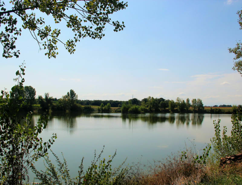 Entre Garonne et Louge au départ de Carbonne - Carbonne