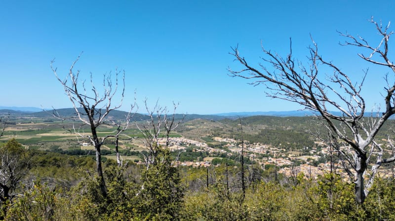 Cigales et soleil au sommet du Pech - Bize-Minervois