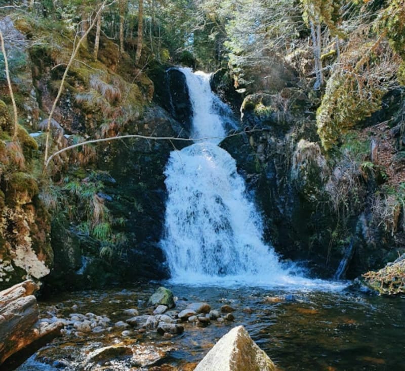 Découverte de la Cascade de Chorsin - Saint-Bonnet-le-Courreau