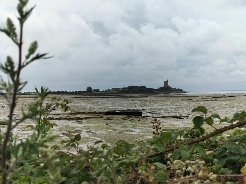 En vue moussaillon depuis Saint-Vaast-la-Hougue - Saint-Vaast-la-Hougue