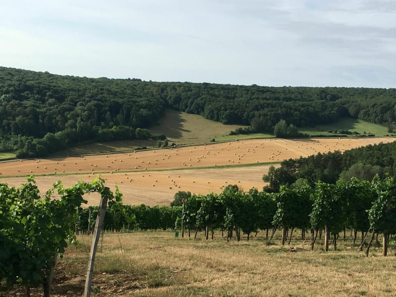 Belle balade au départ de Meuilley - Meuilley