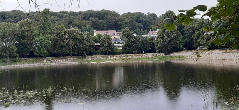 Balade entre forêt de Fausses Reposes, Etang de Corot et Haras Jardy - Ville-d'Avray