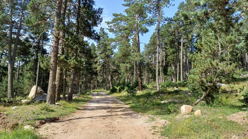 Wandeling van het meer van Calvet naar het meer van Aude-Pyrénées - La Llagonne