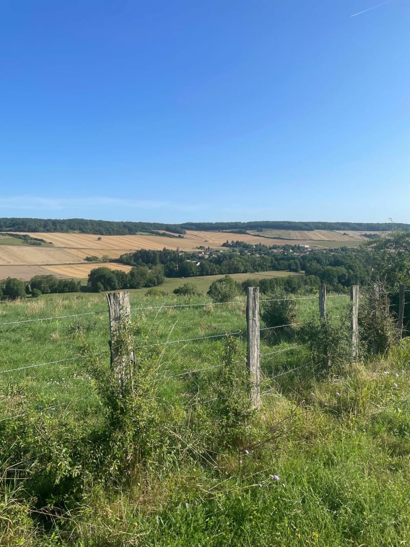 Balade en forêt par Les Foulons depuis La Celle - La Celle-Saint-Cyr