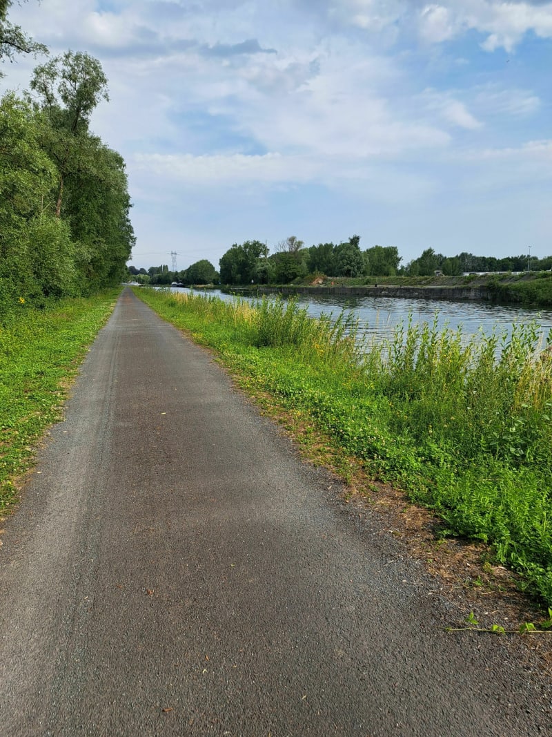 Entre marais et Scarpe à Gouy-sous-Bellonne - Gouy-Sous-Bellonne