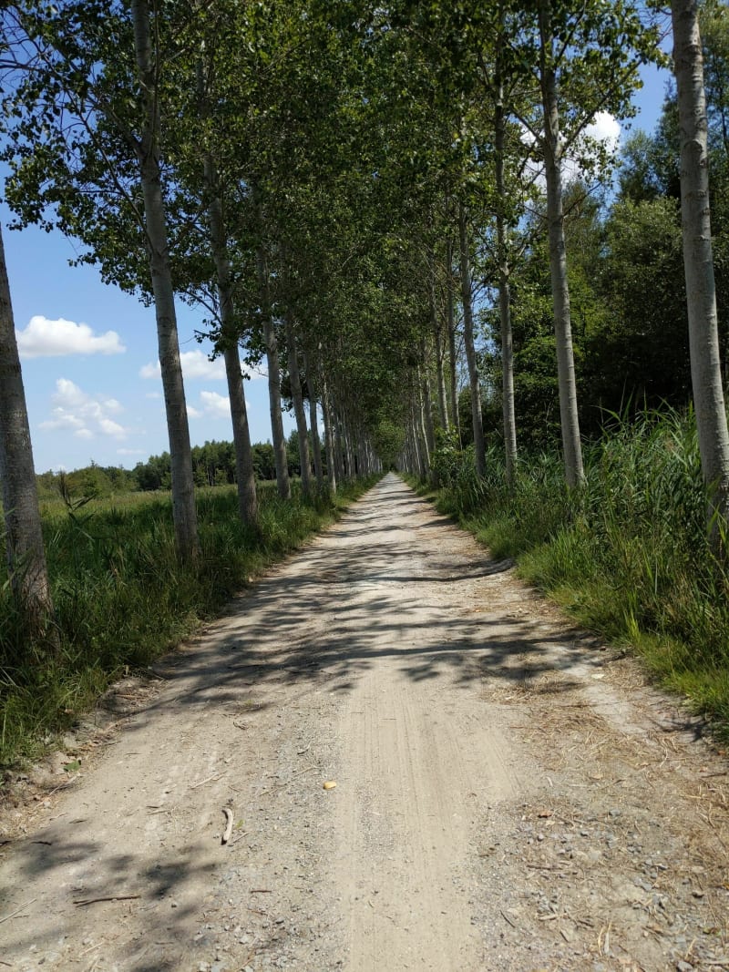 Le long des beaux étangs à Pierrepont - Pierrepont
