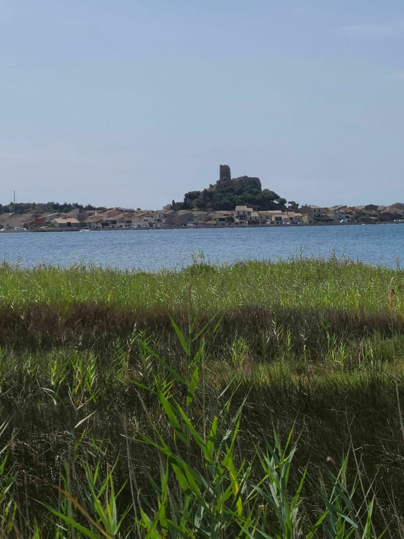GRUISSAN des Aygades aux Cabanes des pêcheurs et les Salins - Gruissan