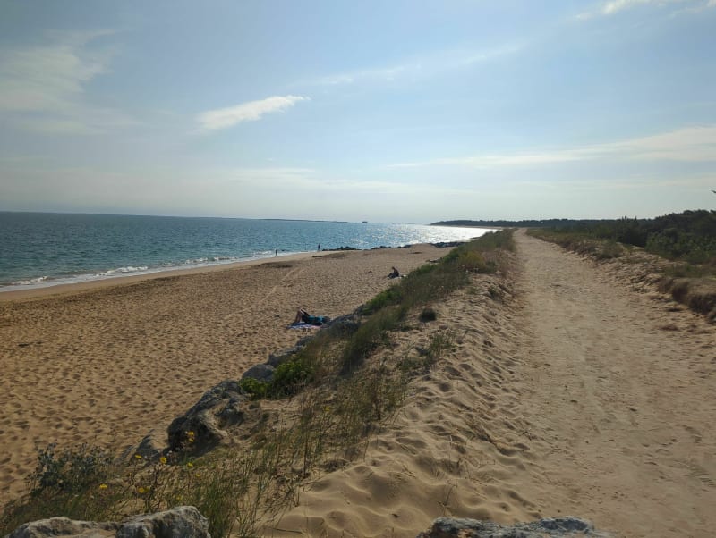 Gautrelle-strand - Saint-Georges-d'Oléron