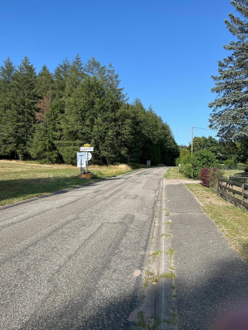 Dans les Vosges du nord de Wimmenau à Wimmenau - Wimmenau