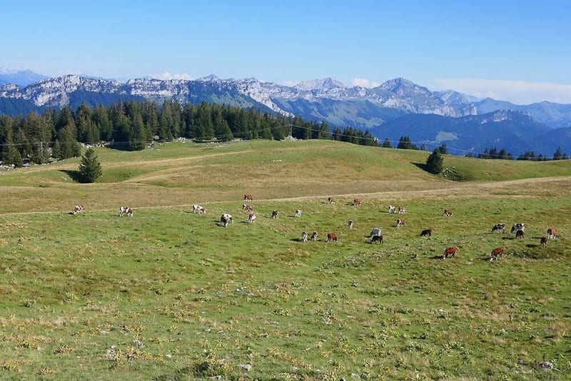 Balade au Semnoz - Leschaux