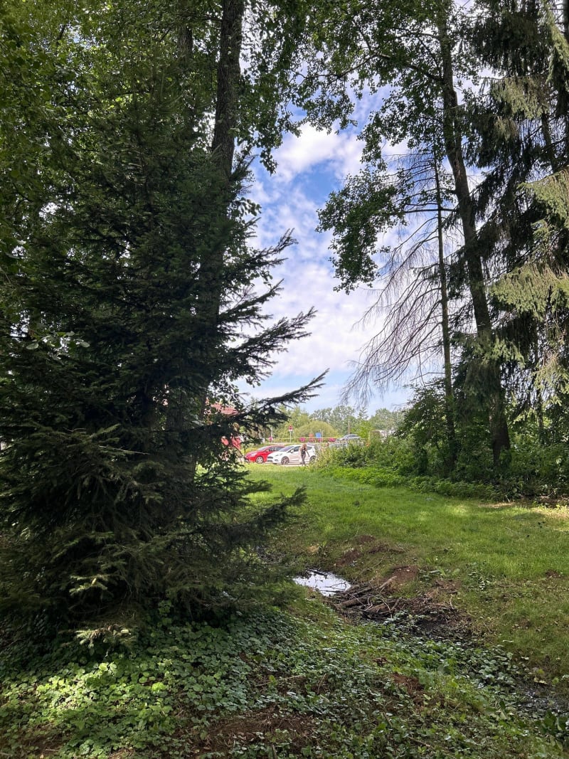 Randonnée à la Péniche de Montreux-Château - Chèvremont