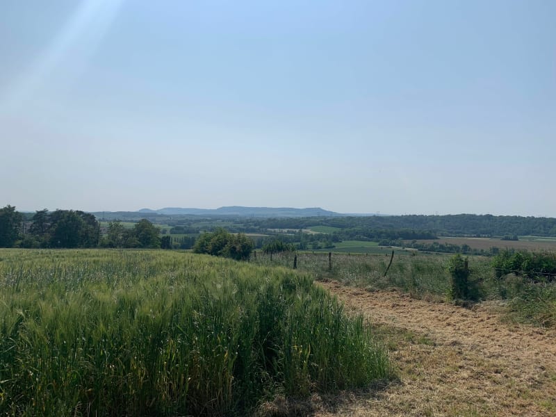 Balade autour de Xirocourt par St-Firmin - Haroué