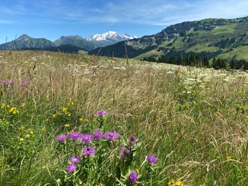 Cuvy avec vue sur le Beaufortain et le Mont Blanc - Beaufort