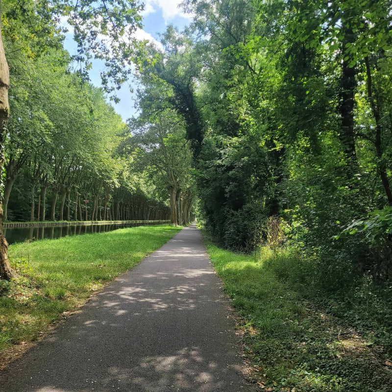 De Fegersheim à Erstein par le canal - Fegersheim