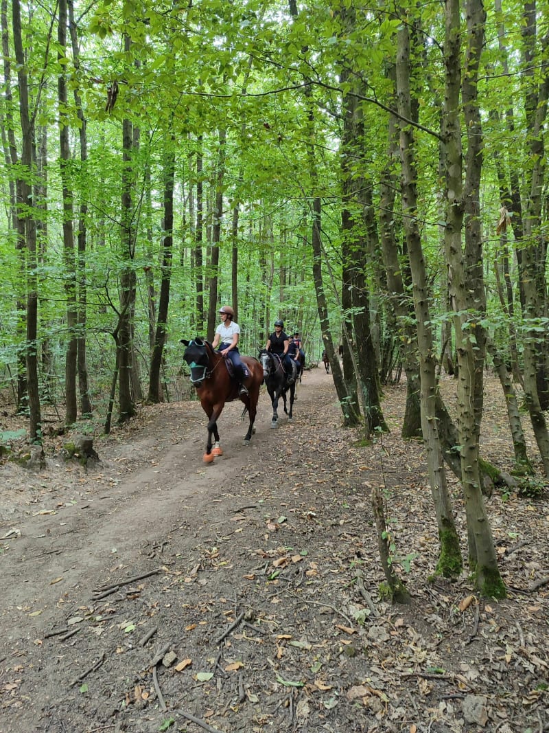 Le joli village de Saint-Prix par le Lapin Sauté - Saint-Prix