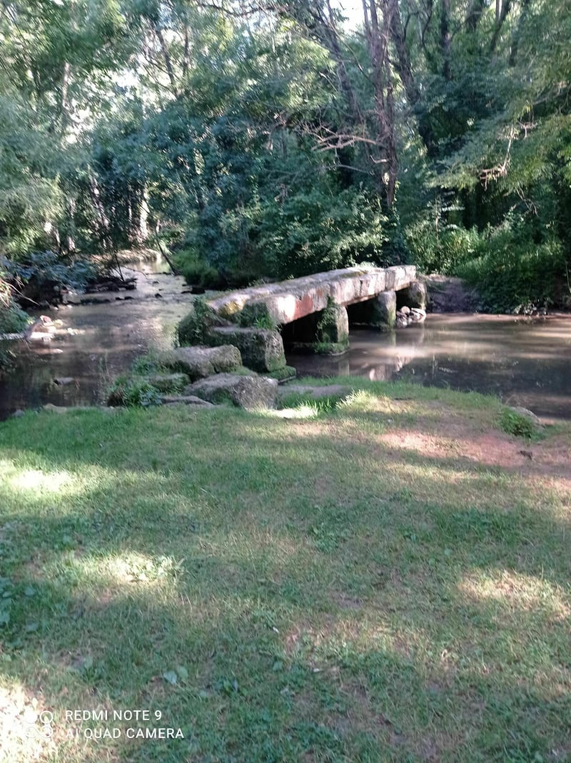 Chemin du pont des ânes à Clion-sur-Seugne - Clion