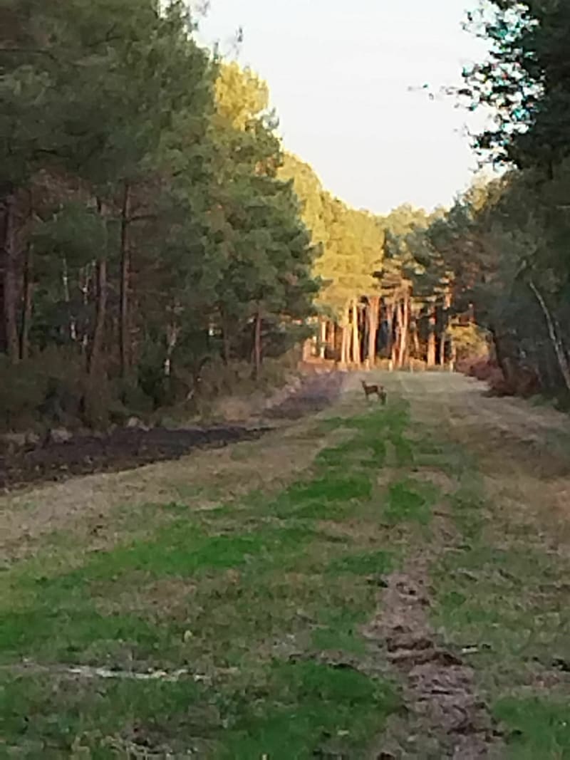 Éveil musculaire à Saint-Benoît-la-Forêt - Saint-Benoît-la-Forêt