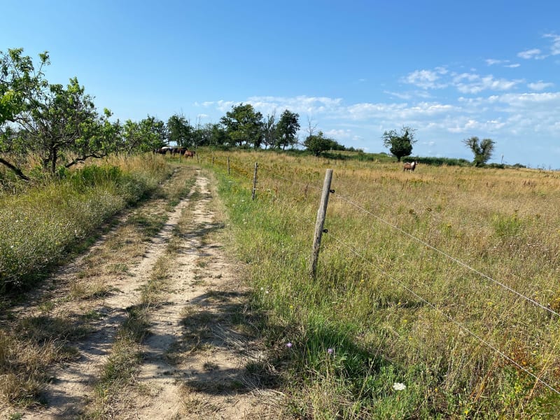 VTT entre Irigny, Vourles et Millery à travers la campagne - Irigny