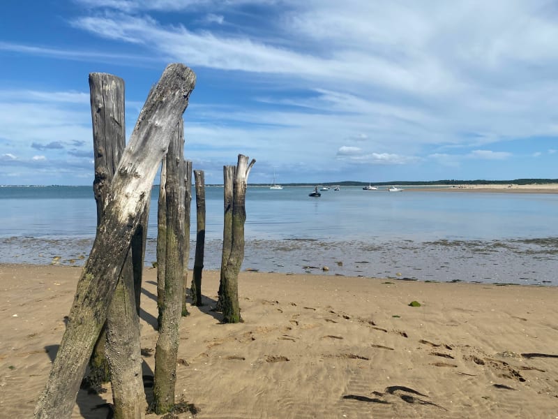 Pointe de Gatseau, et Maumusson - Saint-Trojan-les-Bains