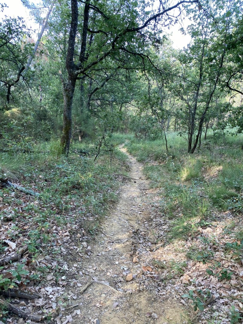 Boucle autour de Roussillon, via la Bergère et les Huguets - Roussillon