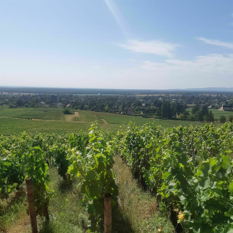 Petite balade à Givry - Givry