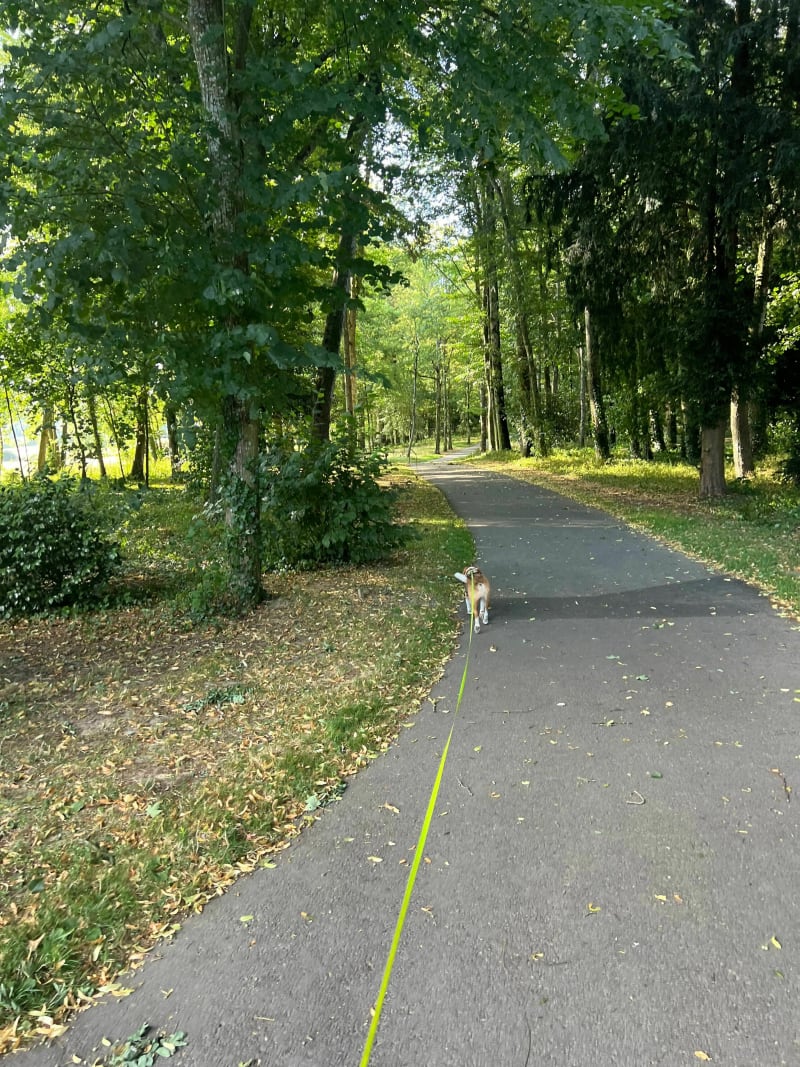 Petite balade du soir dans le Parc du Château des Pères - Piré-Chancé