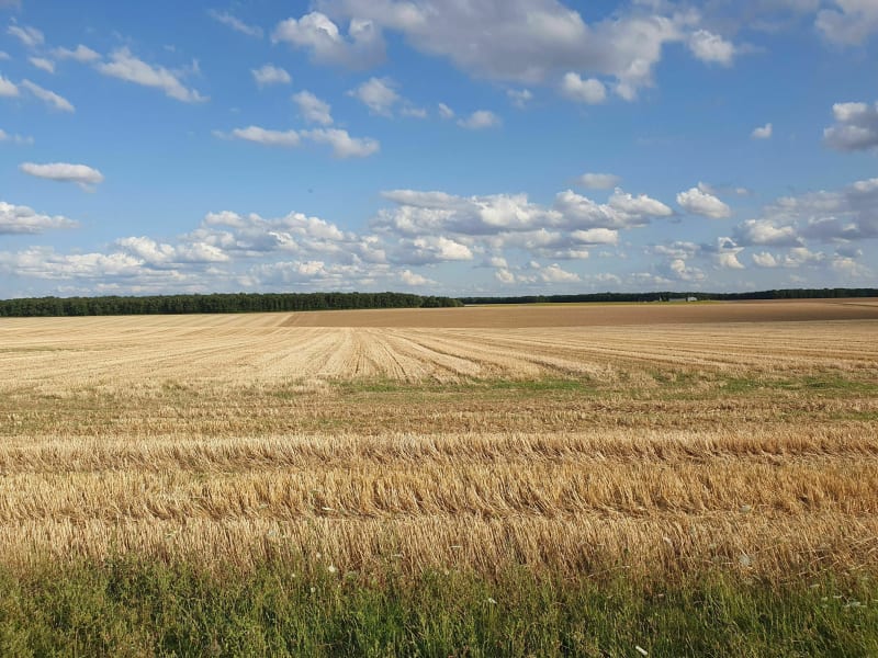 Balade en plaine Berrichonne par Brécy, à vélo - Brécy