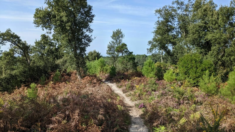 Légendaire rando VTT de Labenne - Édition 2023 - Labenne