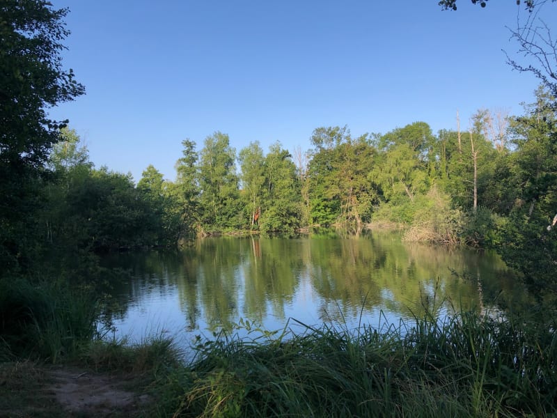 Parcs et marais le long de l’Essonne - Ormoy