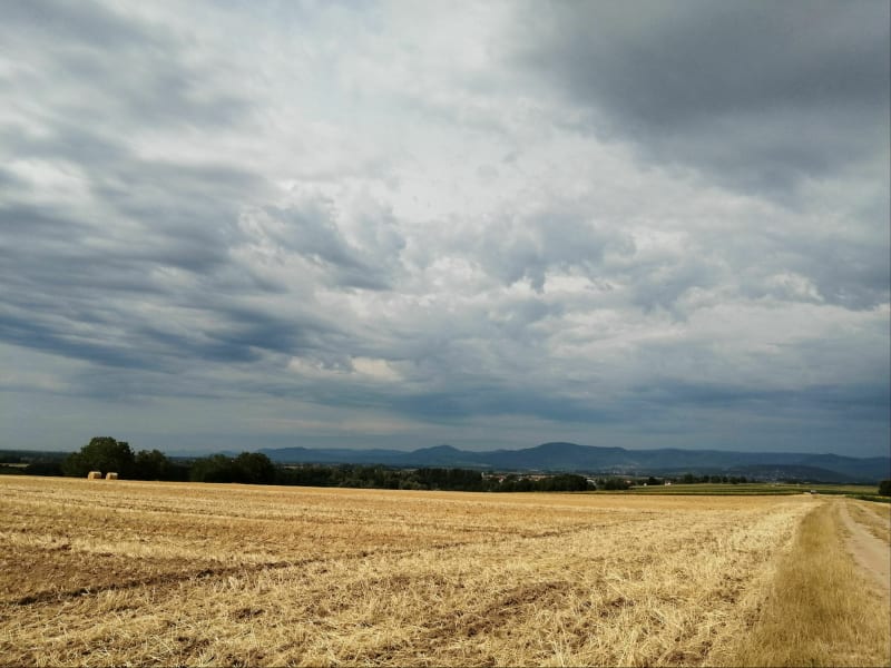 De Strasbourg au Mont Sainte-Odile via Rosheim et Obernai - Strasbourg