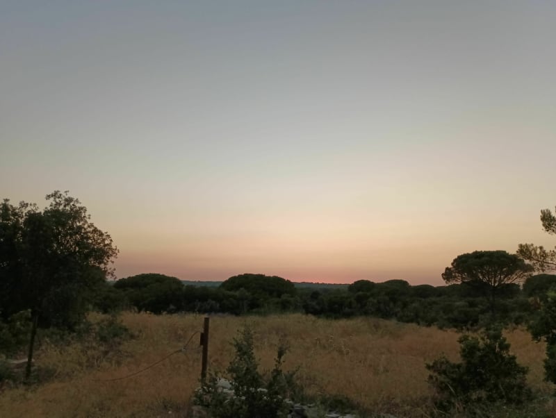Balade en garrigue nimoise - Nîmes