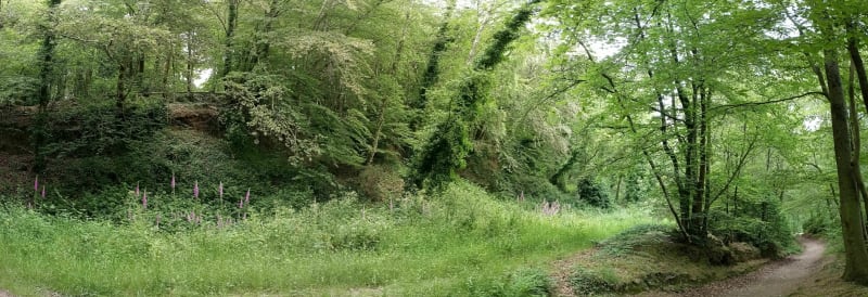 Petit tour au Jardin Botanique et Vallon du Stangalar - Brest
