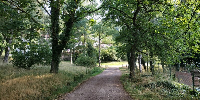 Entre Preuschdorf et Lampertsloch en passant par Marienbronn - Preuschdorf