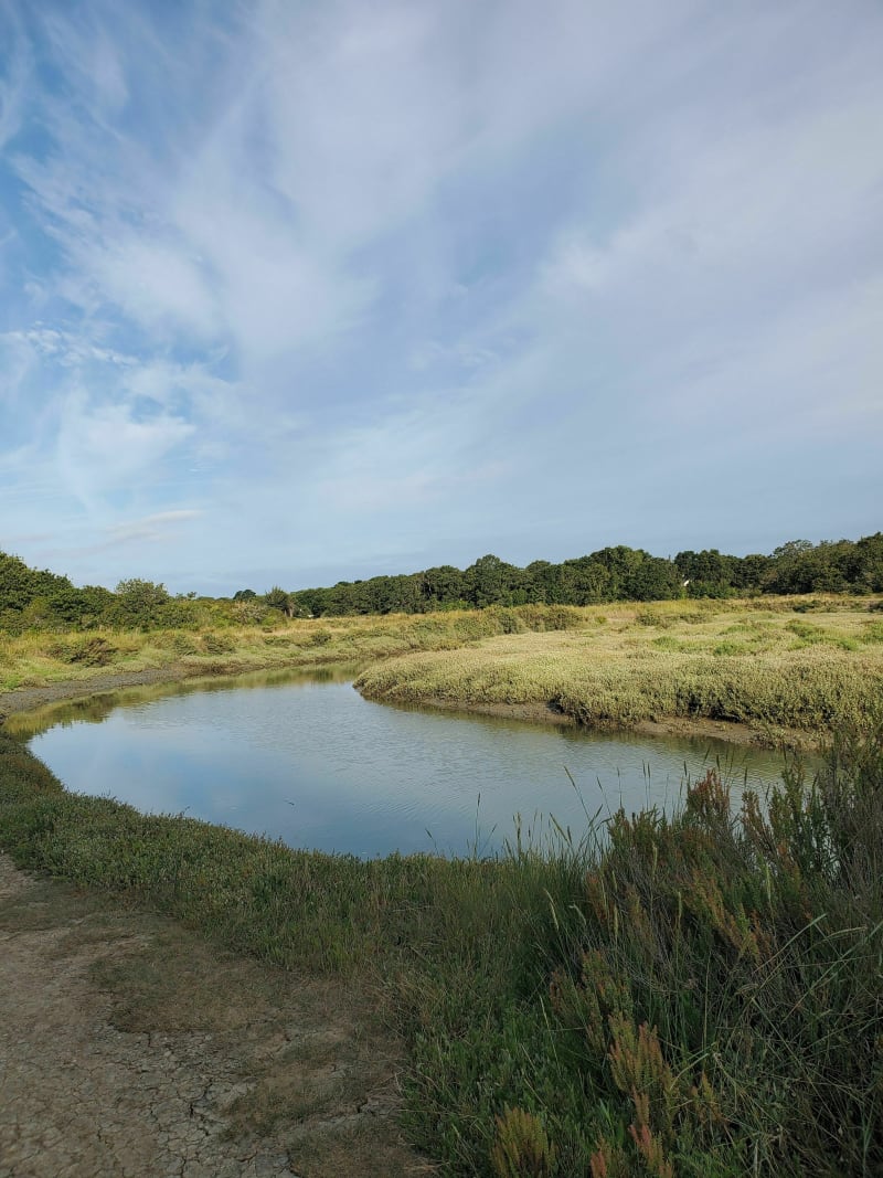 Marais salants par Etier de Ker Croisé - Mesquer