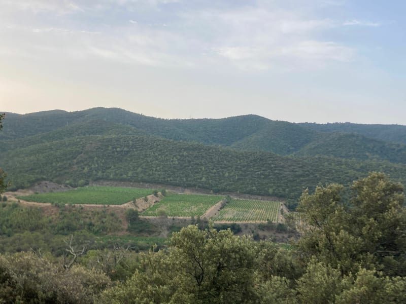 Boucle en  forêt communale de Pierrefeu - Cuers