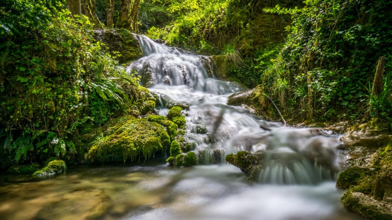 Betoverende lus bij de Turasse-waterval in Roquefort-les-Cascades - Roquefort-les-Cascades