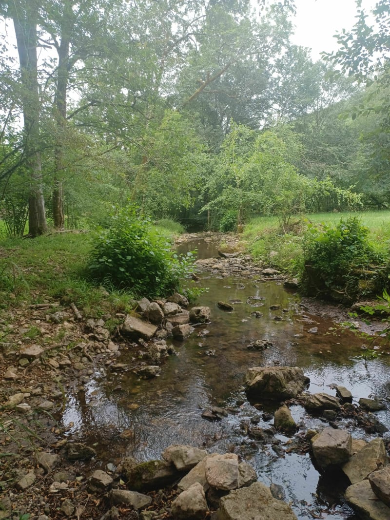 Balade vers Causseviel - Laguépie
