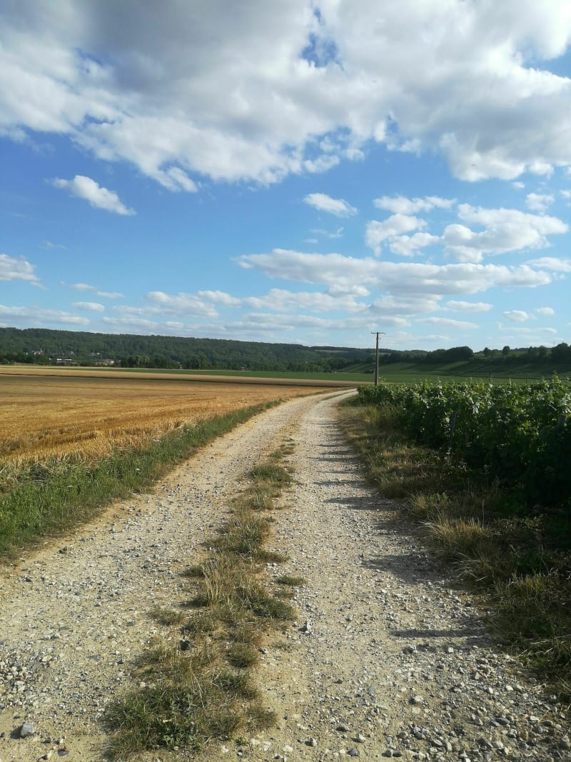 Bord de Marne de Charly sur Marne à Crouttes sur Marne - Charly-sur-Marne