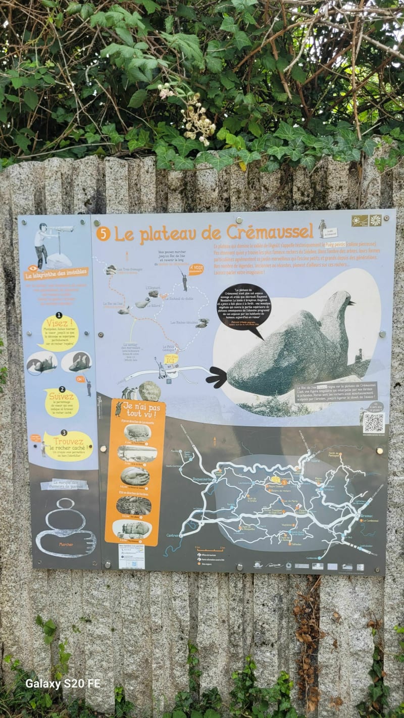 Belle balade sous les bois depuis Crémaussel - Lacrouzette
