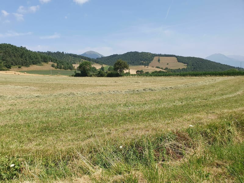 Balade champêtre dans le Trièves - Cornillon-en-Trièves