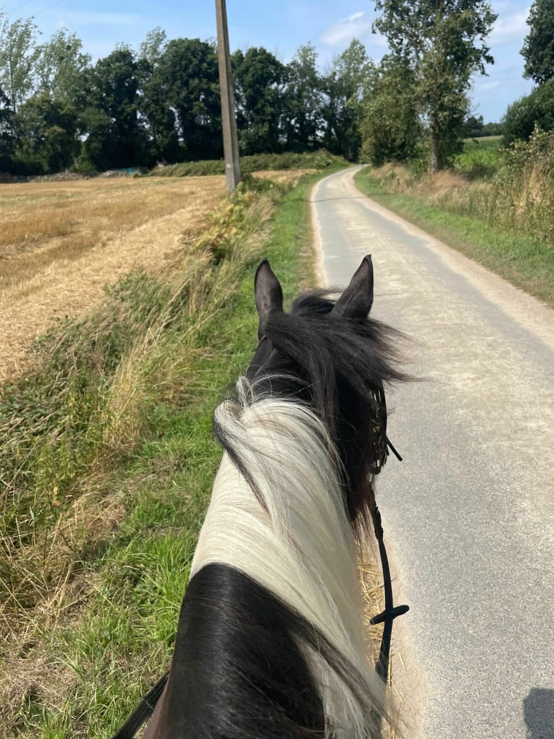 Balade dans la campagne de La Landec - La Landec