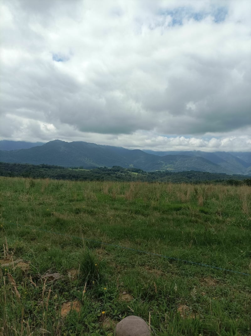 Boucle du plateau de Ger, chemin Henri IV - Ger