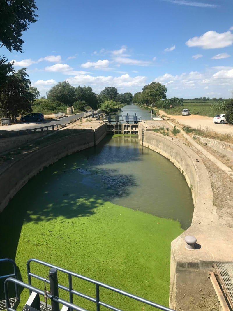 Balade au Canal de la Robine - Narbonne