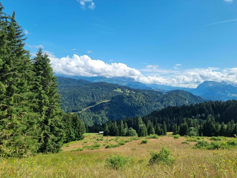 Beaux points de vue au mont Chéry - Les Gets
