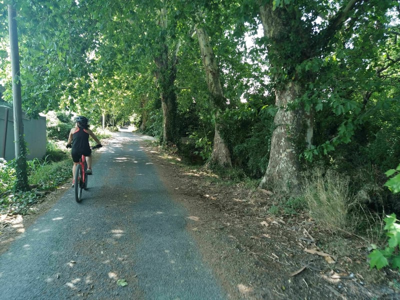 Le long du canal de Perpignan - Ille-sur-Têt
