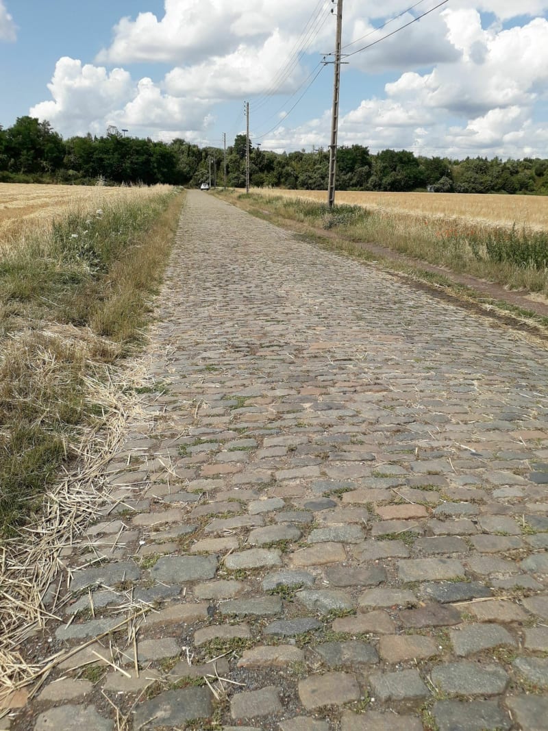Entre fraîcheur et pavé à Lesquin - Ronchin