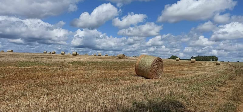 Balade entre nature et vestiges de la ligne Maginot. - Montmédy